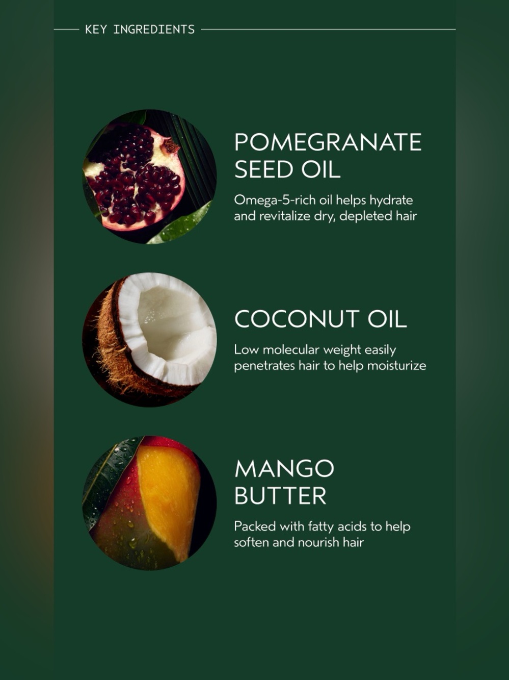 Aveda Nutri Plenish Daily Moisturizing Treatment - Picture 5 of 5